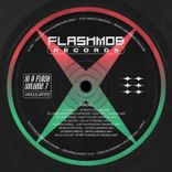 Portada para "In a Flash, Vol. 7"