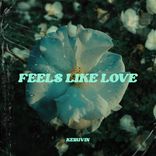 Artwork voor "Feels Like Love"