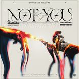 Portada para "Not You"