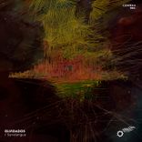 Portada para "Olvidados"