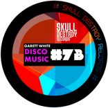 Artwork for "Disco Music"