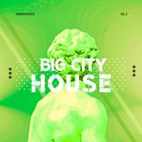 Portada para "Big City House, Vol. 2"