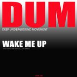 Artwork for "Wake Me Up"