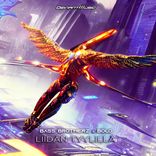 Artwork für "Liidän Tyylillä"