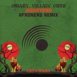 Artwork for "Ingonyama (Remixes)"