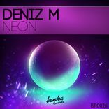 Artwork for "Neon"