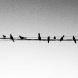 Montreuil 2015 (Original Mix)