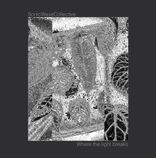 Artwork für "Where the light breaks"