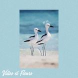 Smiling & Dancing With You