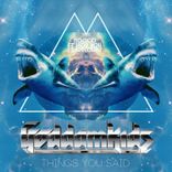 Artwork for "Things You Said"