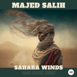 Artwork for "Sahara Winds (Jack Essek Remix)"