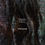 Insight into Emptiness