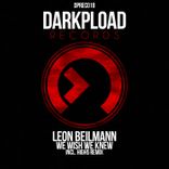 Artwork for "We Wish We Knew"