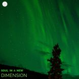 Artwork voor "Soul In A New Dimension"