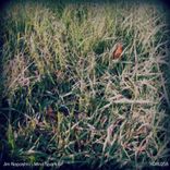 Artwork for "Mind Spark EP"