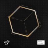 Artwork voor "Shake Up"