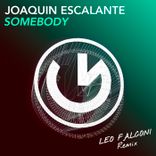 Artwork voor "Somebody (Leo Falconi Remix)"