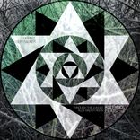 Artwork for "Through The Jungle (Alex Raider Remix)"