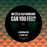 Artwork for "Can You Feel?"