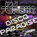 Artwork voor "Disco Paradise"