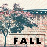 Portada para "Fall"