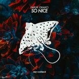 Artwork für "So Nice"