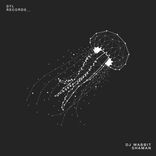 Artwork for "Shaman"