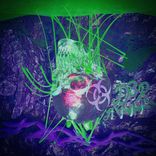 Portada para "toxic"