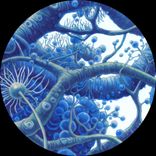 Artwork für "mosso012"