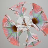 Artwork for "Enigma"