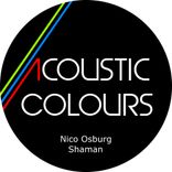 Artwork voor "Shaman"