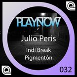 Artwork for "Indi Break & Pigmentón"
