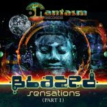 Artwork voor "Sensations Part 1"