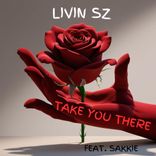 Artwork for "Take You There"