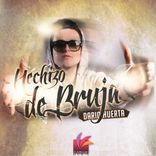 Portada para "Hechizo de Bruja"