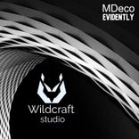 Artwork voor "Evidently"