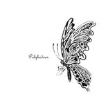 Artwork for "Polyhedron"