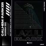 Artwork for "Wanna See"