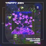 Artwork for "Trippy Zen"