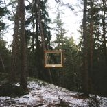 Artwork for "Metamorphosis"