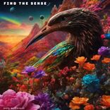 Artwork for "Find the Sense"