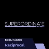 Artwork for "Reciprocal"