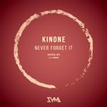 Artwork for "Never Forget It"