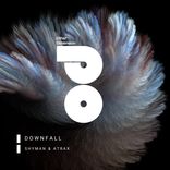 Portada para "DownFall"