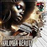 Artwork for "Kalimba Beauty"