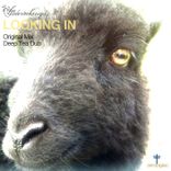 Artwork for "Looking In"