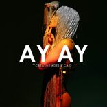 Portada para "Ay Ay"