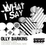 Portada para "What I Say"