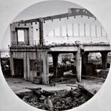 Artwork für "The Walking Dead"