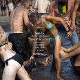 Artwork for "Acid Warriors"